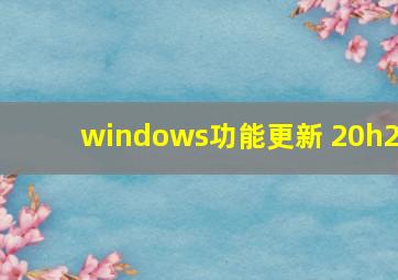 windows功能更新 20h2